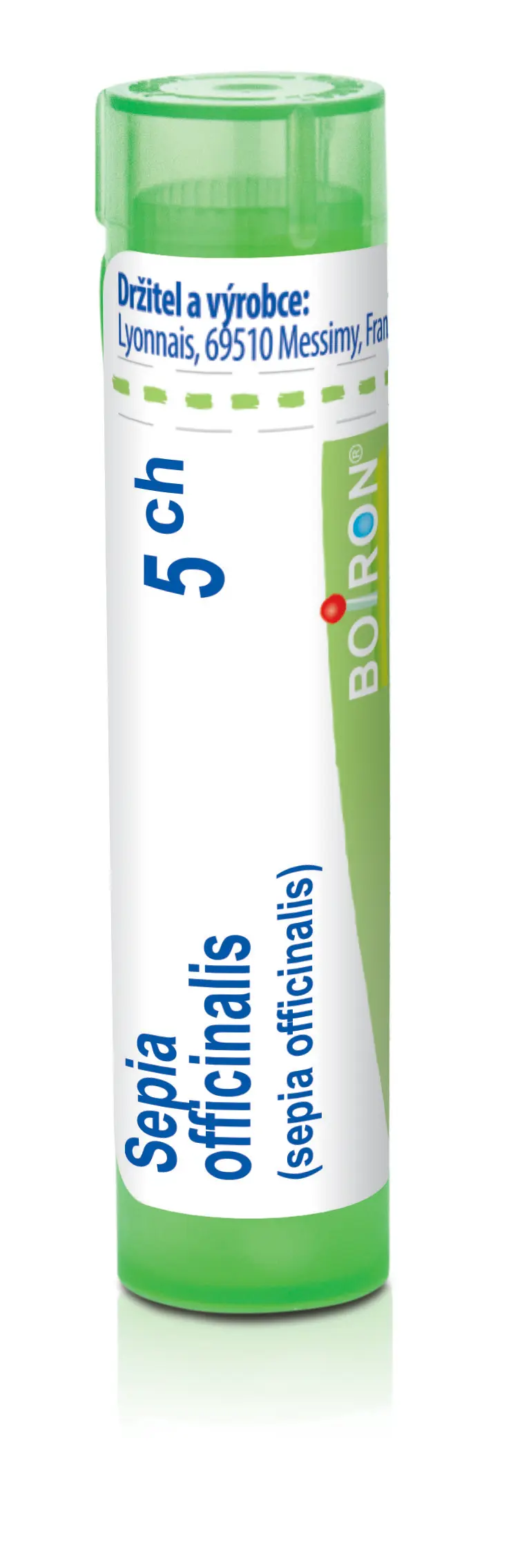 4407_SEPIA OFFICINALIS 5